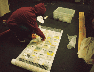 prepping forage quilt