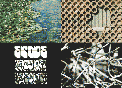 Images used for collage workshop