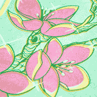printmaking
